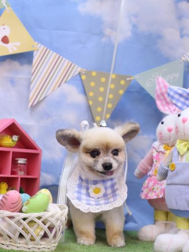 20240315エルくん